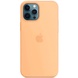 Чохол Silicone case (AAA) full with Magsafe для Apple iPhone 12 Pro / 12 (6.1 "), Помаранчевий / Cantaloupe