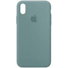 Чехол Silicone Case Full Protective (AA) для Apple iPhone X (5.8") / XS (5.8") Зеленый / Cactus