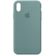 Чехол Silicone Case Full Protective (AA) для Apple iPhone X (5.8") / XS (5.8") Зеленый / Cactus