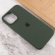 Чохол Silicone Case Full Protective (AA) для Apple iPhone 13 Pro (6.1 "), Зелений / Cyprus Green