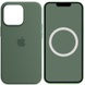 Чохол Silicone case (AAA) full with Magsafe and Animation для Apple iPhone 13 Pro (6.1"), Зеленый / Eucalyptus