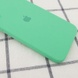 Чохол Silicone Case Square Full Camera Protective (AA) для Apple iPhone 11 (6.1 "), Зелений / Spearmint