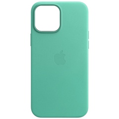 Шкіряний чохол Leather Case (AA) для Apple iPhone 11 Pro Max (6.5 "), Ice