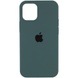 Чохол Silicone Case Full Protective (AA) для Apple iPhone 12 Pro / 12 (6.1"), Зелений / Cactus
