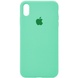 Чехол Silicone Case Full Protective (AA) для Apple iPhone X (5.8") / XS (5.8") Зеленый / Spearmint