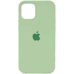 Чехол Silicone Case Full Protective (AA) для Apple iPhone 16 Pro Max (6.9") Мятный / Mint