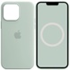 Чехол Silicone case (AAA) full with Magsafe and Animation для Apple iPhone 14 Pro Max (6.7") Бирюзовый / Succulent