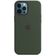 Чехол Silicone case (AAA) full with Magsafe and Animation для Apple iPhone 12 Pro / 12 (6.1") Зеленый / Cyprus Green