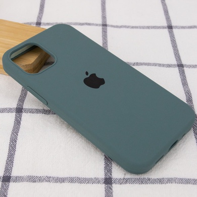 Чехол Silicone Case Full Protective (AA) для Apple iPhone 13 (6.1") Зеленый / Cactus