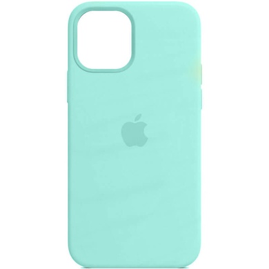 Шкіряний чохол Leather Case (AA Plus) with MagSafe для Apple iPhone 13 Pro Max (6.7"), Ice