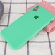 Чехол Silicone Case Full Protective (AA) для Apple iPhone X (5.8") / XS (5.8") Зеленый / Spearmint