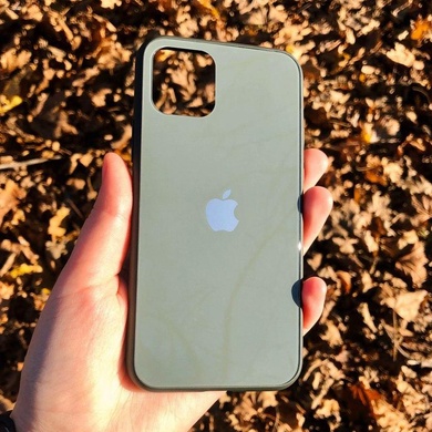 TPU+Glass чехол GLOSSY Logo series для Apple iPhone 11 Pro Max (6.5") Зеленый / Pine green