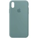 Чохол Silicone Case Full Protective (AA) для Apple iPhone XR (6.1 "), Зелений / Cactus