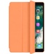 Чехол (книжка) Smart Case Series для Apple iPad mini 5 7,9" (2019) Оранжевый / Orange
