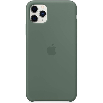 Чехол Silicone case (AAA) для Apple iPhone 11 Pro Max (6.5") Зеленый / Pine green