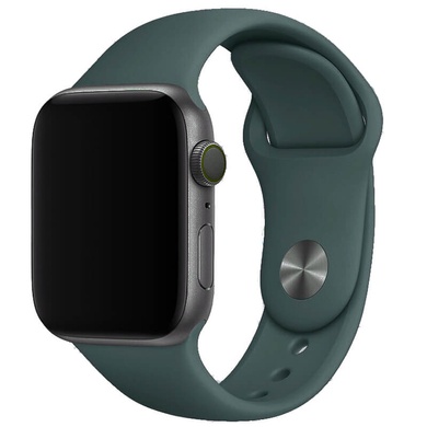 Силиконовый ремешок для Apple watch 42mm / 44mm Зеленый / Pine green