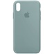Чехол Silicone Case Full Protective (AA) для Apple iPhone XR (6.1") Зеленый / Light cactus