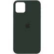 Чохол Silicone Case Full Protective (AA) для Apple iPhone 12 Pro Max (6.7 "), Зелений / Cyprus Green